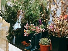 -PlantsEatery·植物食堂(REX春熙店)