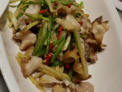 -青雅中餐厅(大连金石滩绿发希尔顿度假酒店)
