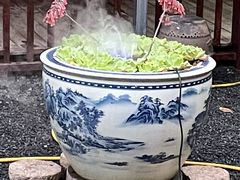 -贵人御膳