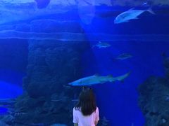 -成都浩海立方海洋公园