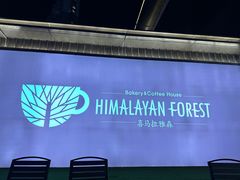 -喜马拉雅森HIMALAYAN FOREST
