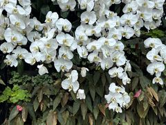 -石家庄市植物园