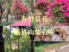 -燕晗山郊野公园