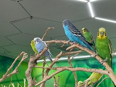 -昆明大悦城未来动物城(螺蛳湾中心店)