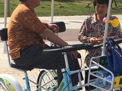 -武清南湖绿博园