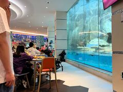 -帝企鹅自助餐厅•儿童岛•真企鹅(长隆企鹅酒店)