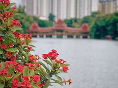 -曼听御花园