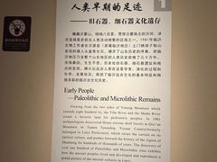 -临沂市博物馆