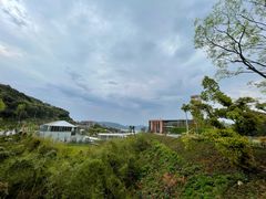 -东钱湖旅游度假区