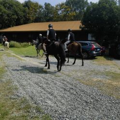 -上海万豪虹桥大酒店·宴会厅