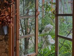 -Jo's Garden