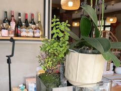 -崂山水果园农家宴(泉水鸡店)