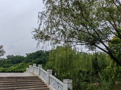 -南翠屏公园