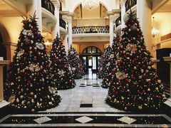 -Salon de Ville浦江汇(上海外滩华尔道夫酒店店)