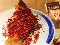 -鸡毛店·川菜(双楠店)