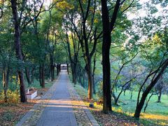 -虞山风景区
