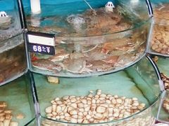 水产区-沿海渔家院海鲜烧烤·东北菜(东戴河店)