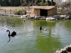 -燕郊植物园