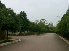 景点-五甲塘生态湿地公园