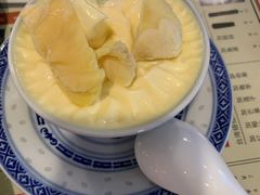 双皮奶-捷信牛奶甜品世家(五道口店)