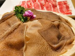 -老版火锅(半坡店)
