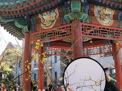 -月坛公园