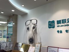 -美联众合动物医院·24h转诊中心