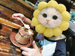 -MIKAKU(万达广场上海宝山店)