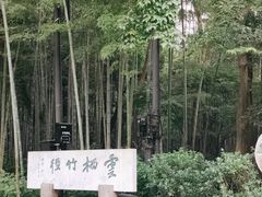 -云栖竹径