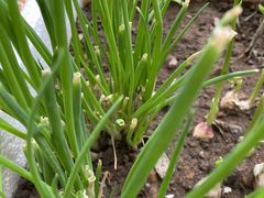 -宜昌富力皇冠假日酒店·咖啡1号西餐厅