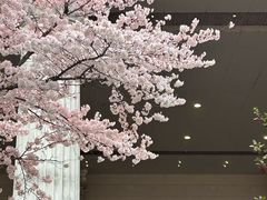 -西苑公园