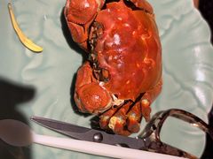 -成隆行·蟹王府(九江路店)