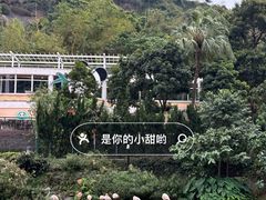 -石排湾郊野公园