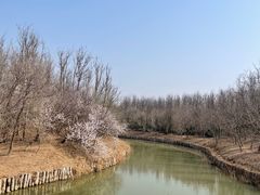 -塘沽森林公园