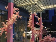 -首开·龙湖成都西宸天街
