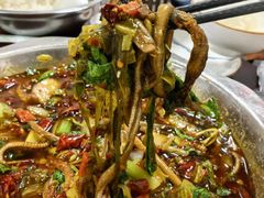 -车七孃苏稽跷脚牛肉(乐山店)