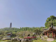 -顺峰山公园