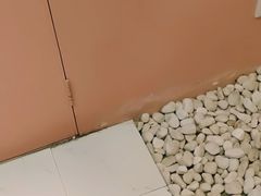 -狐狸和向日葵(北京路店)