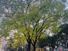 -玲珑塔公园