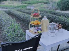 -龙坞茶村