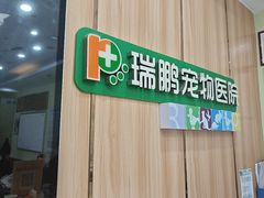 -瑞鹏宠物医院·夜间急症·心超·猫科(祖庙分店)
