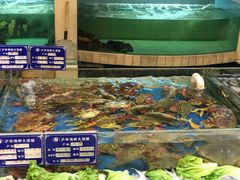 -沪华海鲜大酒楼(南汇店)