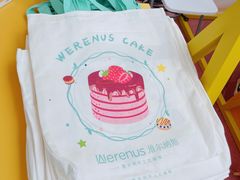 -维尔纳斯·生日蛋糕动物奶油冰淇淋蛋糕(人大店)