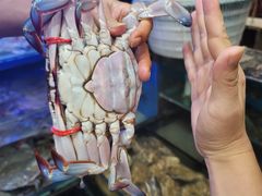 -小铜锣湾海鲜家常菜馆(河西店)