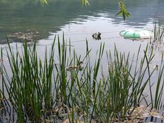 -十渡东湖港风景区