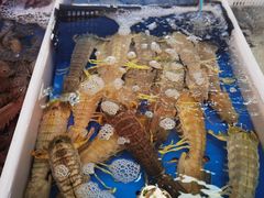 -南沙十九涌渔人码头-南门