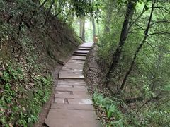 -青城山