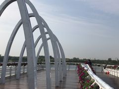 -大兴滨河森林公园