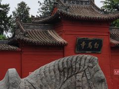 -洛阳白马寺