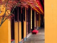 -龙华寺